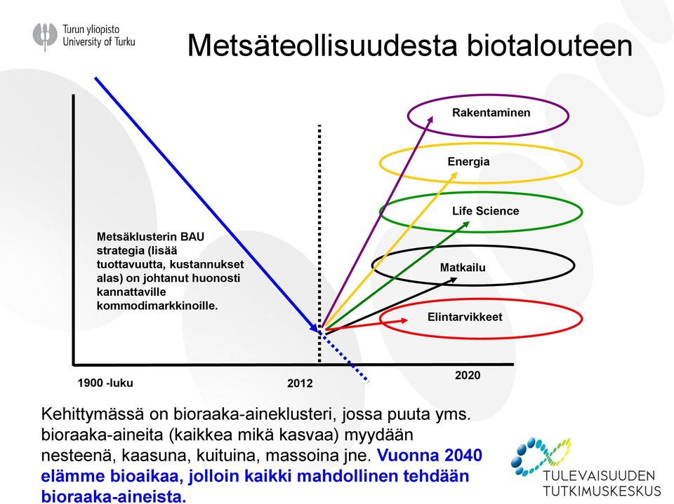 Matkailu Elintarvikkeet 1900 -luku 2012 2020 Kehittymässä on bioraaka-aineklusteri, jossa puuta yms.