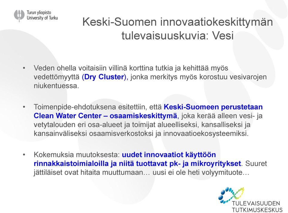 Toimenpide-ehdotuksena esitettiin, että Keski-Suomeen perustetaan Clean Water Center osaamiskeskittymä, joka kerää alleen vesi- ja vetytalouden eri osa-alueet ja
