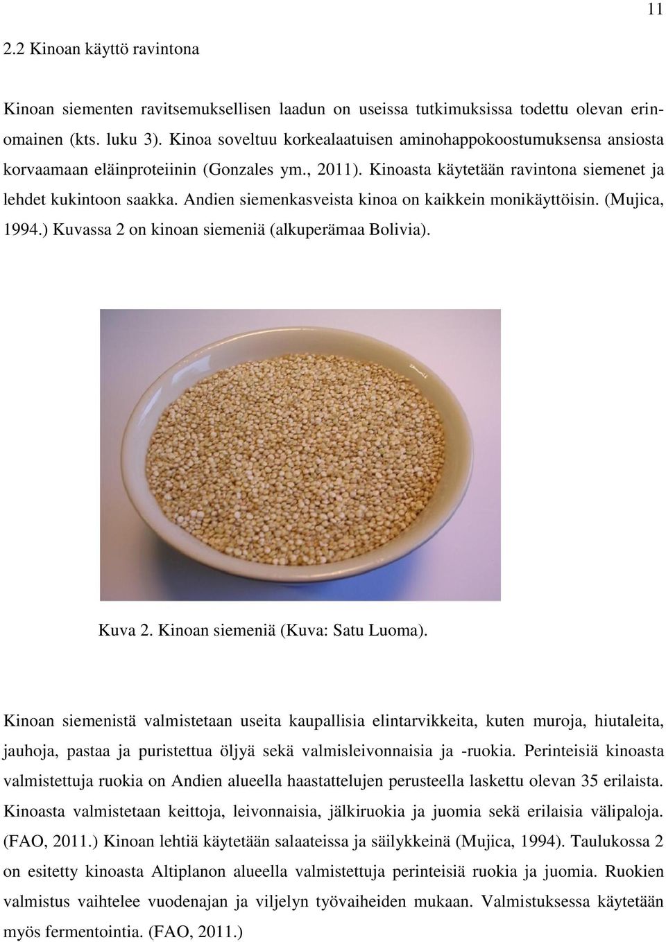 Andien siemenkasveista kinoa on kaikkein monikäyttöisin. (Mujica, 1994.) Kuvassa 2 on kinoan siemeniä (alkuperämaa Bolivia). Kuva 2. Kinoan siemeniä (Kuva: Satu Luoma).