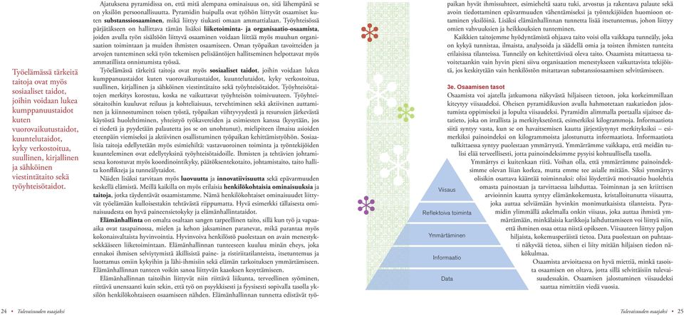 Pyramidin huipulla ovat työhön liittyvät osaamiset kuten substanssiosaaminen, mikä liittyy tiukasti omaan ammattialaan.