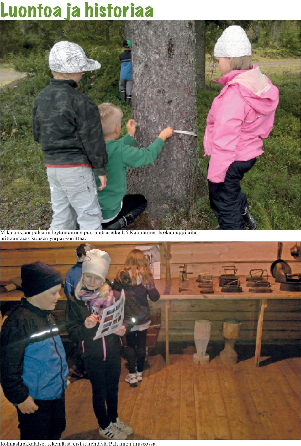 Kolmannen luokan oppilaita mittaamassa kuusen