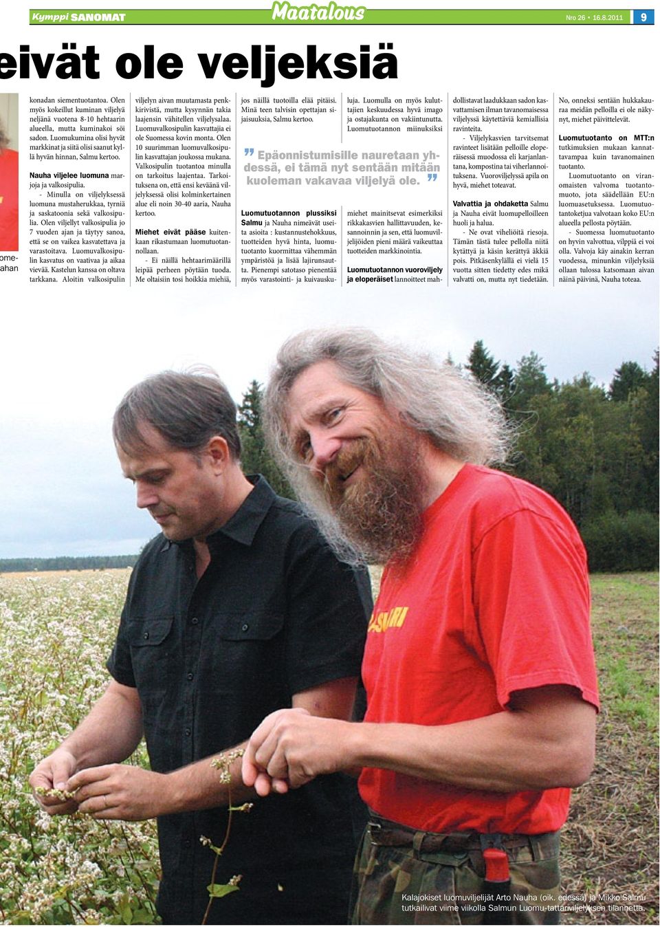 - Minulla on viljelyksessä luomuna mustaherukkaa, tyrniä ja saskatoonia sekä valkosipulia. Olen viljellyt valkosipulia jo 7 vuoden ajan ja täytyy sanoa, että se on vaikea kasvatettava ja varastoitava.