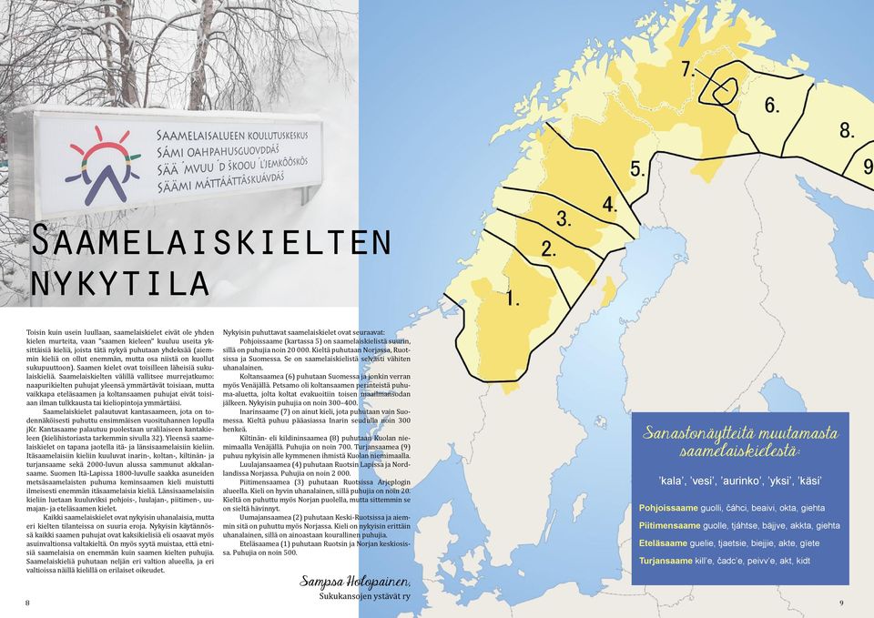 Saamelaiskielten välillä vallitsee murrejatkumo: naapurikielten puhujat yleensä ymmärtävät toisiaan, mutta vaikkapa eteläsaamen ja koltansaamen puhujat eivät toisiaan ilman tulkkausta tai