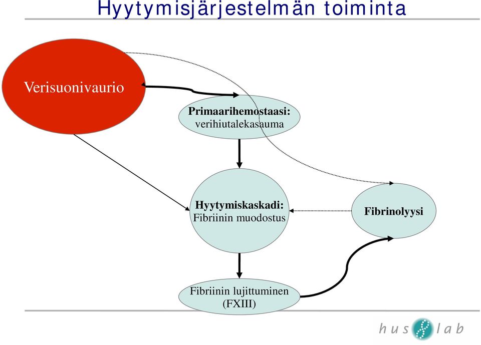 verihiutalekasauma Hyytymiskaskadi: