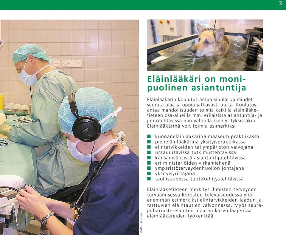 Eläinlääkärinä voit toimia esimerkiksi kunnaneläinlääkärinä maaseutupraktiikassa pieneläinlääkärinä yksityispraktiikassa elintarvikkeiden tai ympäristön valvojana uraauurtavissa tutkimustehtävissä