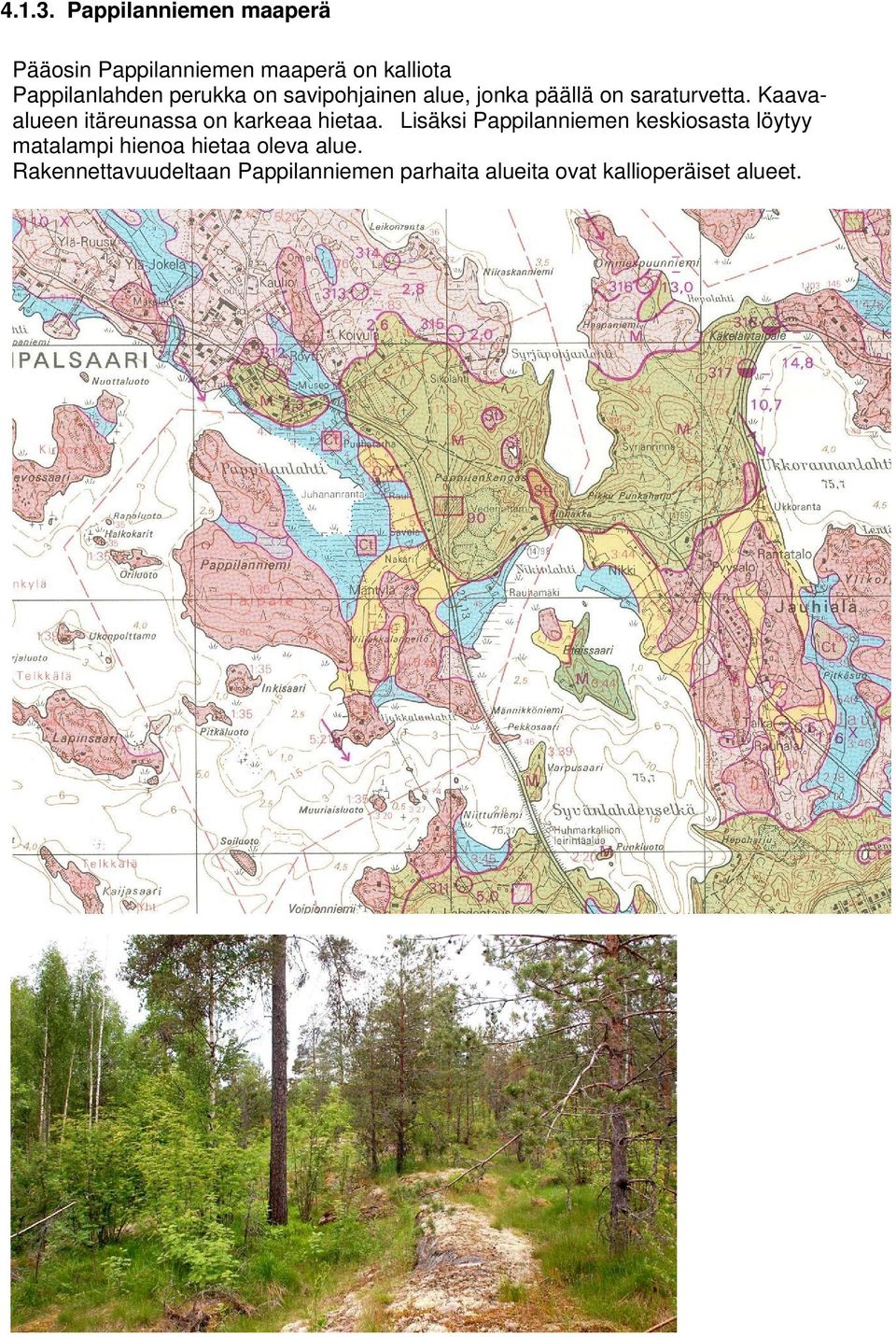 perukka on savipohjainen alue, jonka päällä on saraturvetta.