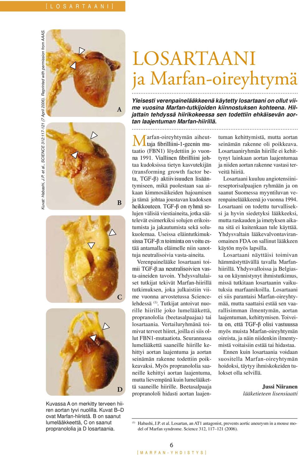 Hiljattain tehdyssä hiirikokeessa sen todettiin ehkäisevän aortan laajentuman Marfan-hiirillä. Marfan-oireyhtymän aiheuttaja fibrilliini-1-geenin mutaatio (FBN1) löydettiin jo vuonna 1991.