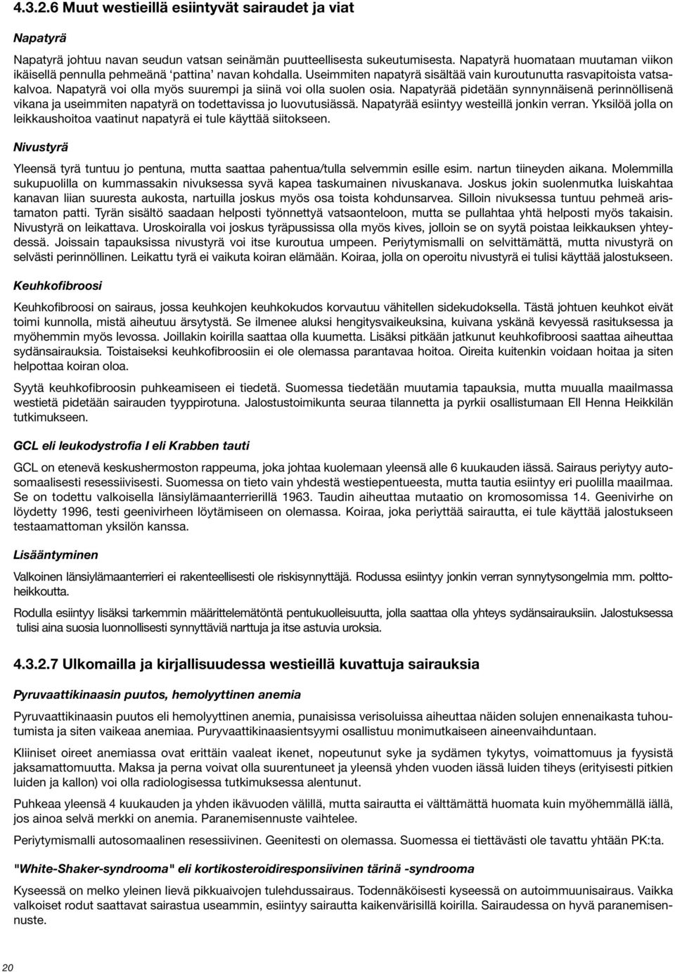 Napatyrä voi olla myös suurempi ja siinä voi olla suolen osia. Napatyrää pidetään synnynnäisenä perinnöllisenä vikana ja useimmiten napatyrä on todettavissa jo luovutusiässä.