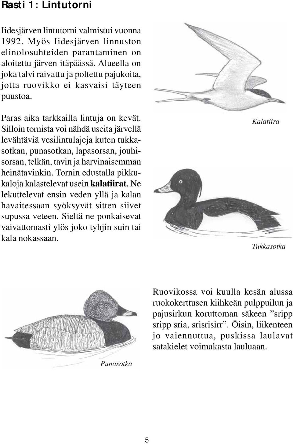 Silloin tornista voi nähdä useita järvellä levähtäviä vesilintulajeja kuten tukkasotkan, punasotkan, lapasorsan, jouhisorsan, telkän, tavin ja harvinaisemman heinätavinkin.