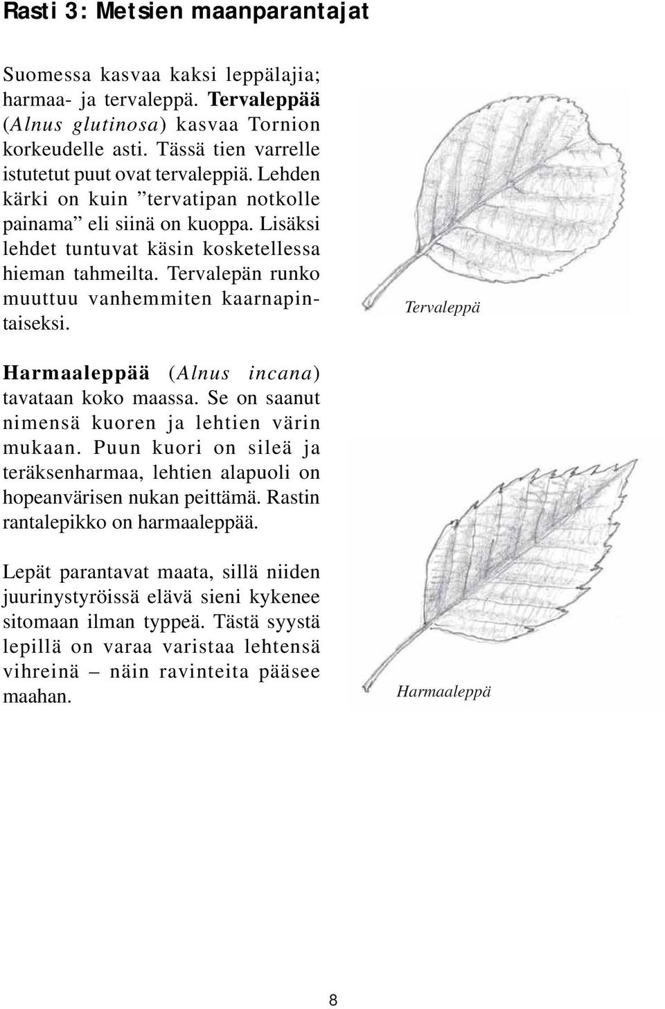 Tervalepän runko muuttuu vanhemmiten kaarnapintaiseksi. Tervaleppä Harmaaleppää (Alnus incana) tavataan koko maassa. Se on saanut nimensä kuoren ja lehtien värin mukaan.