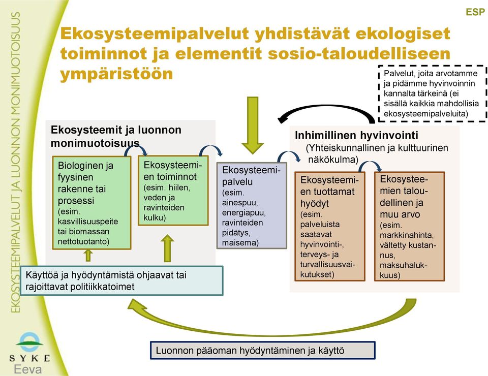 hiilen, veden ja ravinteiden kulku) Käyttöä ja hyödyntämistä ohjaavat tai rajoittavat politiikkatoimet Ekosysteemipalvelu (esim.