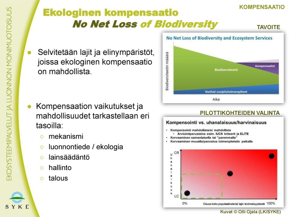 Kompensaation vaikutukset ja mahdollisuudet tarkastellaan eri tasoilla: mekanismi