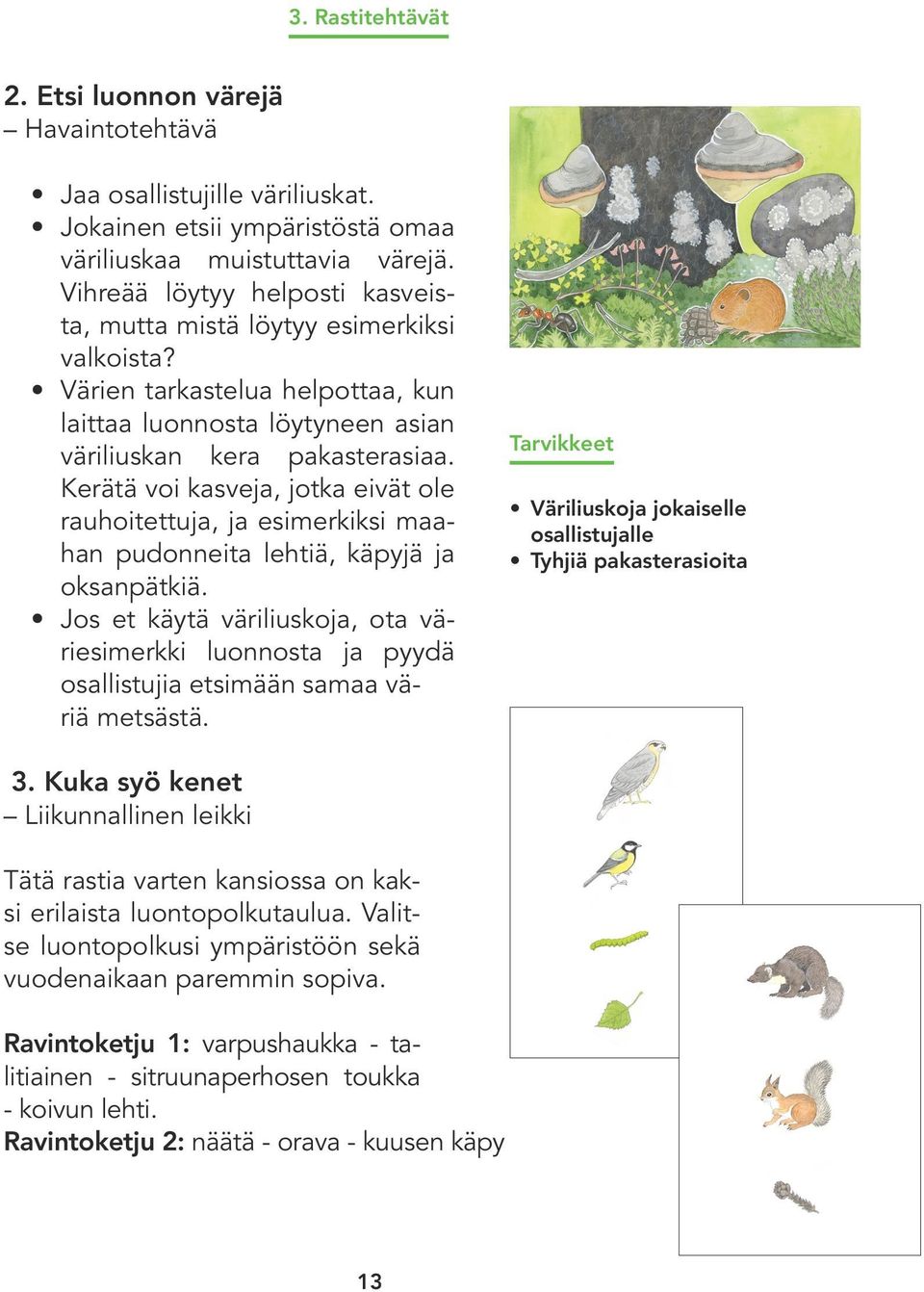 Kerätä voi kasveja, jotka eivät ole rauhoitettuja, ja esimerkiksi maahan pudonneita lehtiä, käpyjä ja oksanpätkiä.