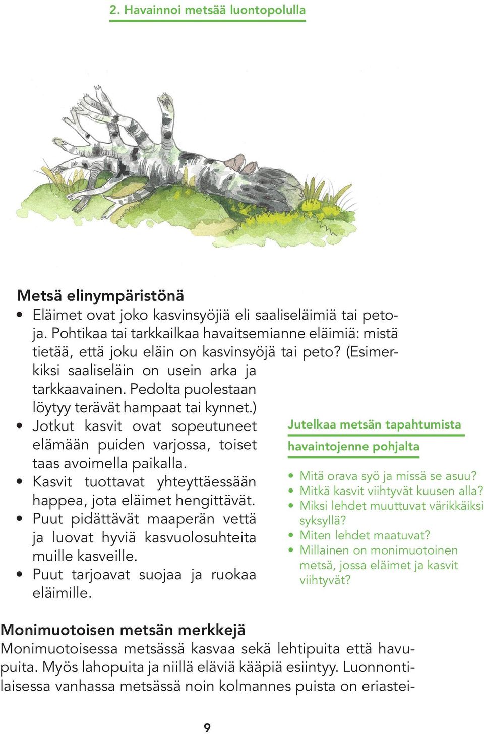 Pedolta puolestaan löytyy terävät hampaat tai kynnet.) Jotkut kasvit ovat sopeutuneet elämään puiden varjossa, toiset taas avoimella paikalla.