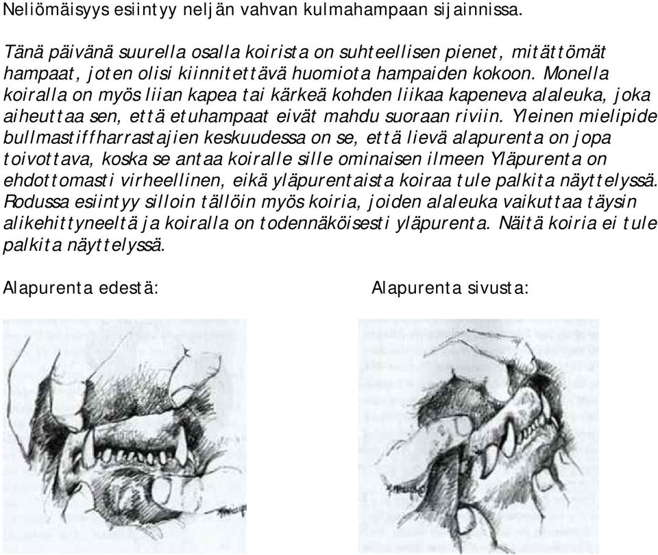 Yleinen mielipide bullmastiffharrastajien keskuudessa on se, että lievä alapurenta on jopa toivottava, koska se antaa koiralle sille ominaisen ilmeen Yläpurenta on ehdottomasti virheellinen, eikä