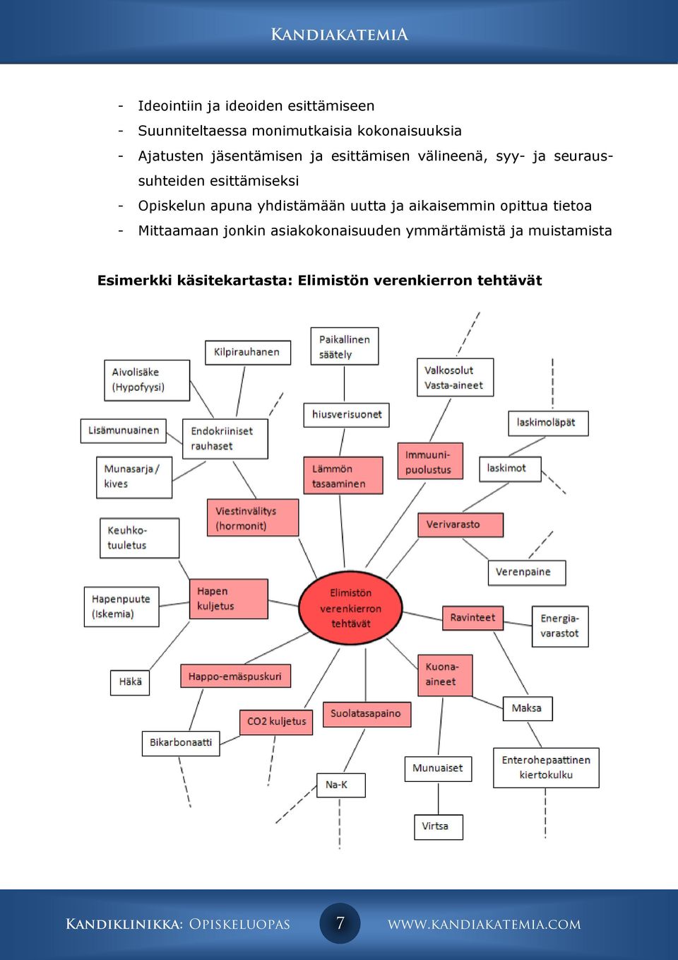 Opiskelun apuna yhdistämään uutta ja aikaisemmin opittua tietoa - Mittaamaan jonkin