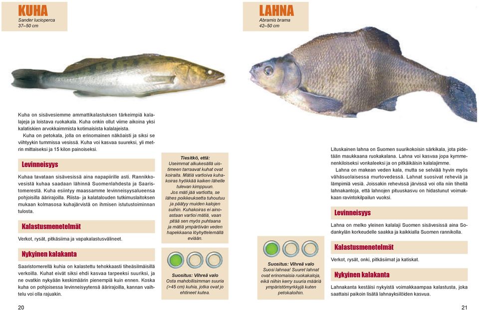 Kuha voi kasvaa suureksi, yli metrin mittaiseksi ja 15 kilon painoiseksi. Kuhaa tavataan sisävesissä aina napapiirille asti. Rannikkovesistä kuhaa saadaan lähinnä Suomenlahdesta ja Saaristomerestä.