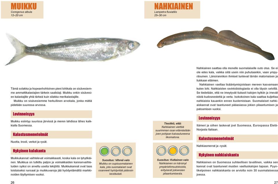 Muikku esiintyy suurissa järvissä ja meren lahdissa lähes kaikkialla Suomessa. Nuotta, trooli, verkot ja rysät. Muikkukannat vaihtelevat voimakkaasti, koska kala on lyhytikäinen.