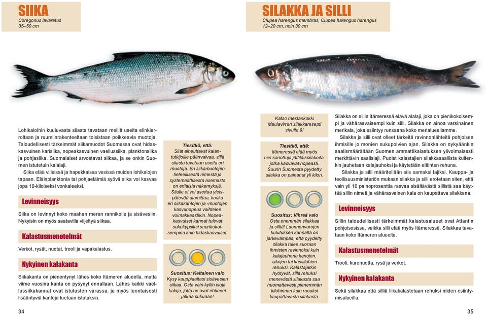 Suomalaiset arvostavat siikaa, ja se onkin Suomen istutetuin kalalaji. Siika elää viileissä ja hapekkaissa vesissä muiden lohikalojen tapaan.