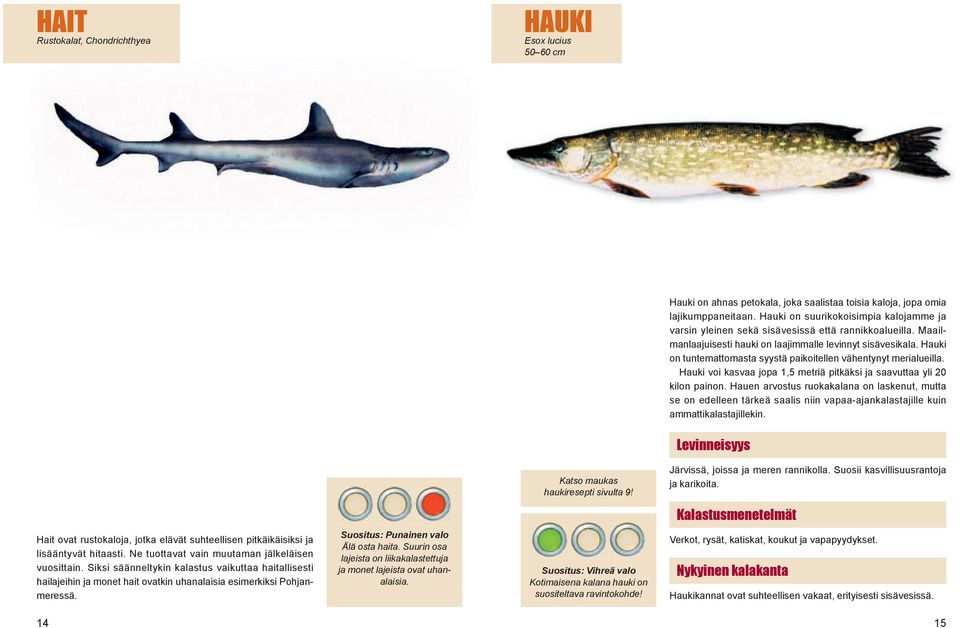 Hauki on tuntemattomasta syystä paikoitellen vähentynyt merialueilla. Hauki voi kasvaa jopa 1,5 metriä pitkäksi ja saavuttaa yli 20 kilon painon.