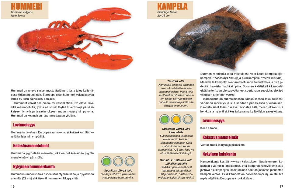 Ne elävät kivisillä merenpohjilla, joista ne voivat löytää kivenkoloja päiväaikaiseen lymyilyyn ja ravinnokseen muun muassa simpukoita. Hummeri on kotimaisen rapumme tapaan yöeläin.