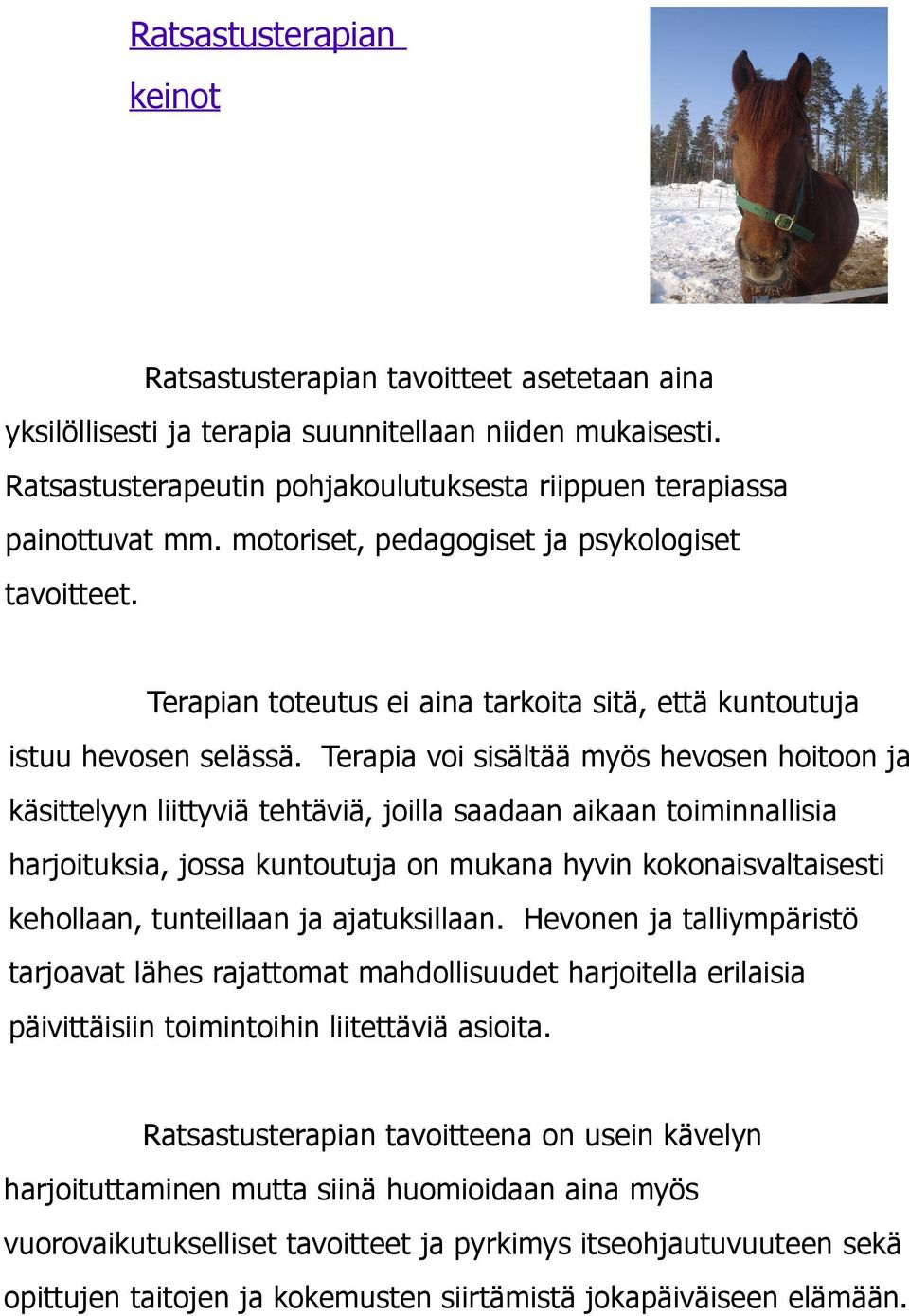 Terapian toteutus ei aina tarkoita sitä, että kuntoutuja istuu hevosen selässä.