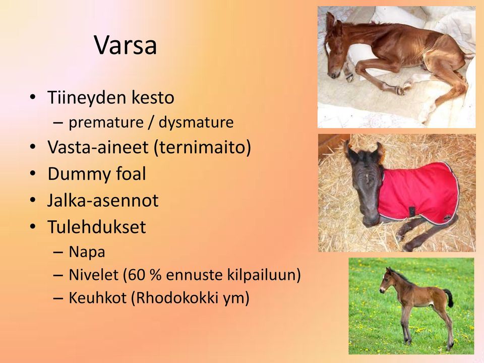 foal Jalka-asennot Tulehdukset Napa