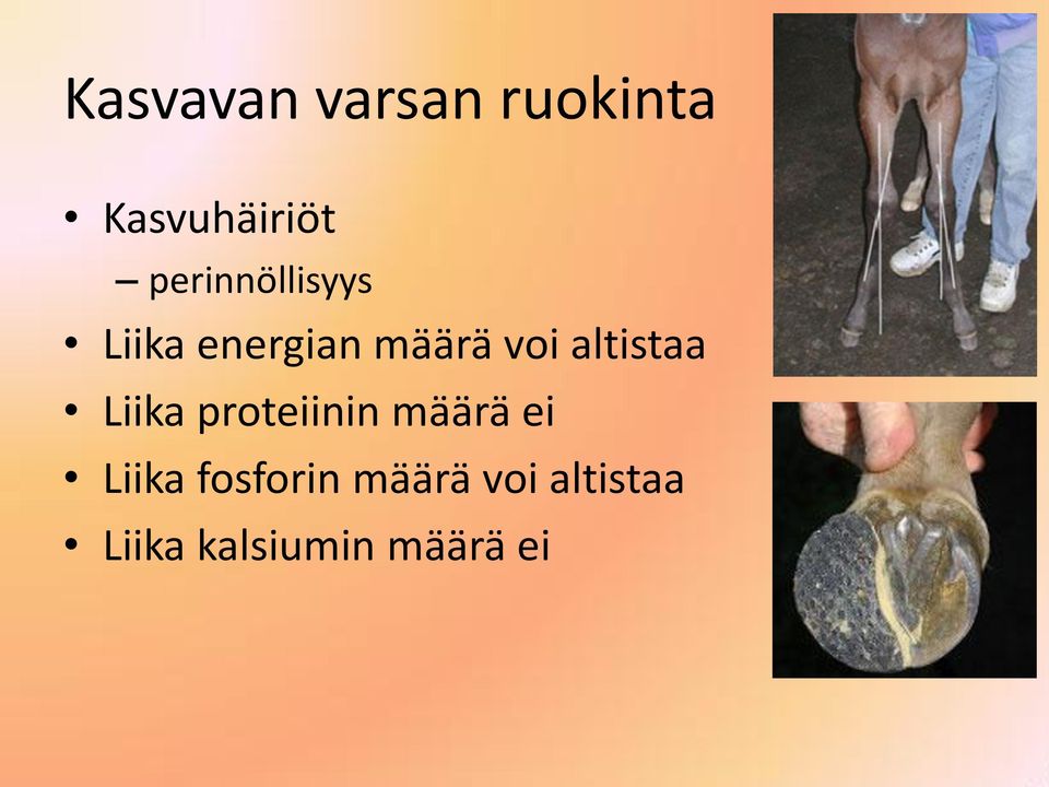 altistaa Liika proteiinin määrä ei Liika