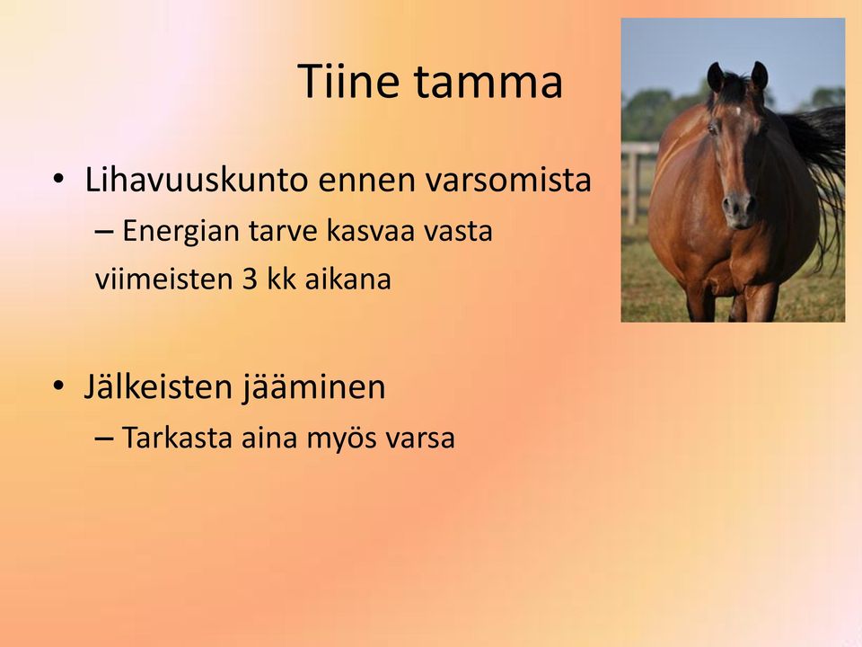 vasta viimeisten 3 kk aikana