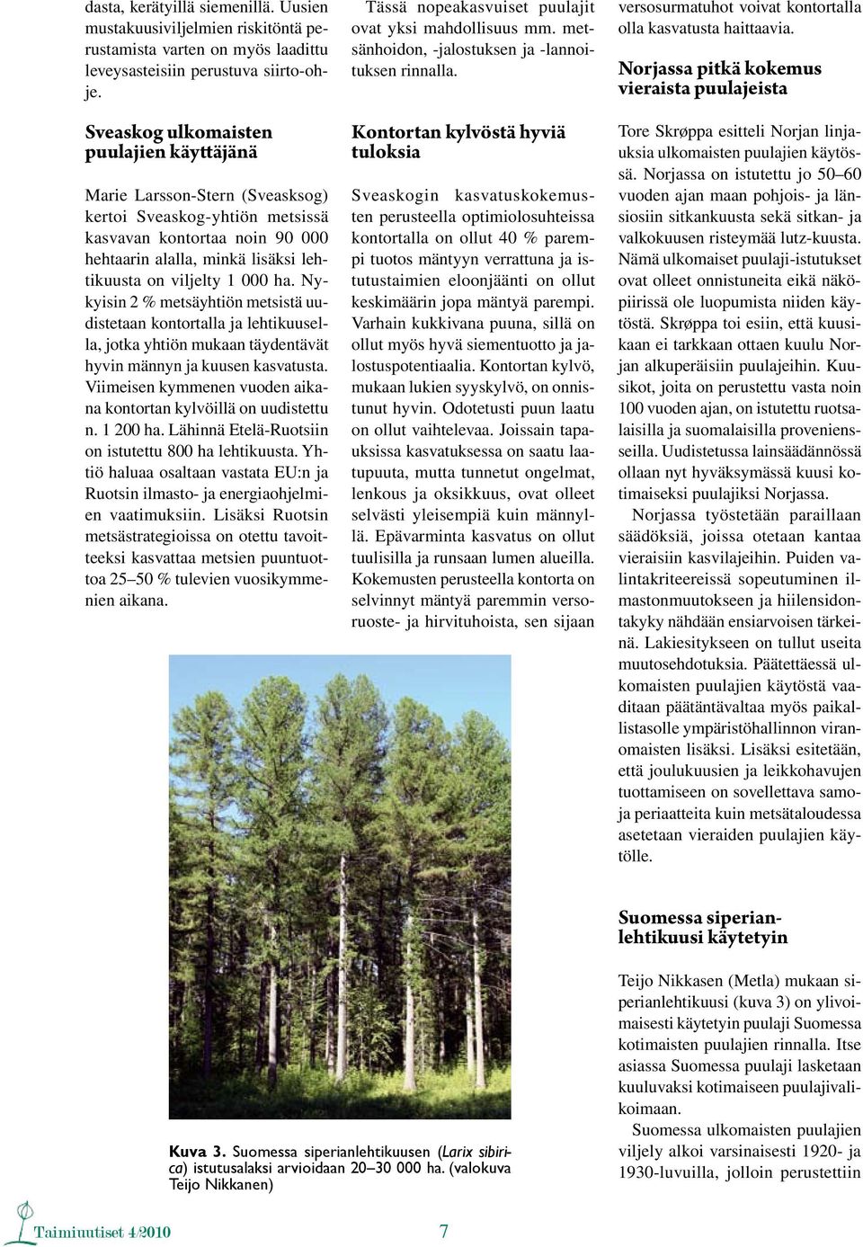 ha. Nykyisin 2 % metsäyhtiön metsistä uudistetaan kontortalla ja lehtikuusella, jotka yhtiön mukaan täydentävät hyvin männyn ja kuusen kasvatusta.