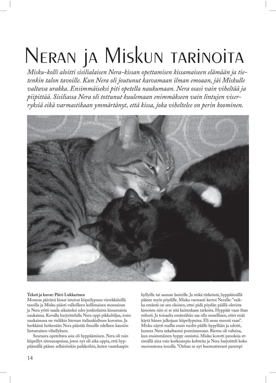 Sisiliassa Nera oli tottunut kuulemaan enimmäkseen vain lintujen viserryksiä eikä varmastikaan ymmärtänyt, että kissa, joka viheltelee on perin koominen.