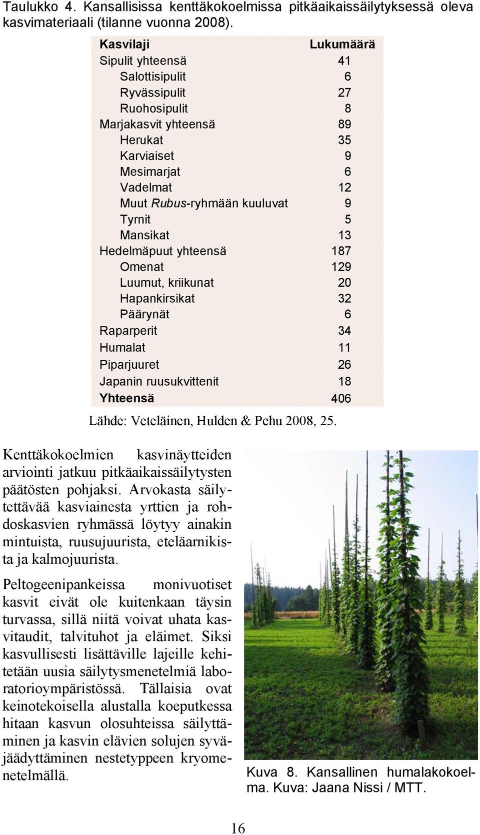 Mansikat 13 Hedelmäpuut yhteensä 187 Omenat 129 Luumut, kriikunat 20 Hapankirsikat 32 Päärynät 6 Raparperit 34 Humalat 11 Piparjuuret 26 Japanin ruusukvittenit 18 Yhteensä 406 Lähde: Veteläinen,