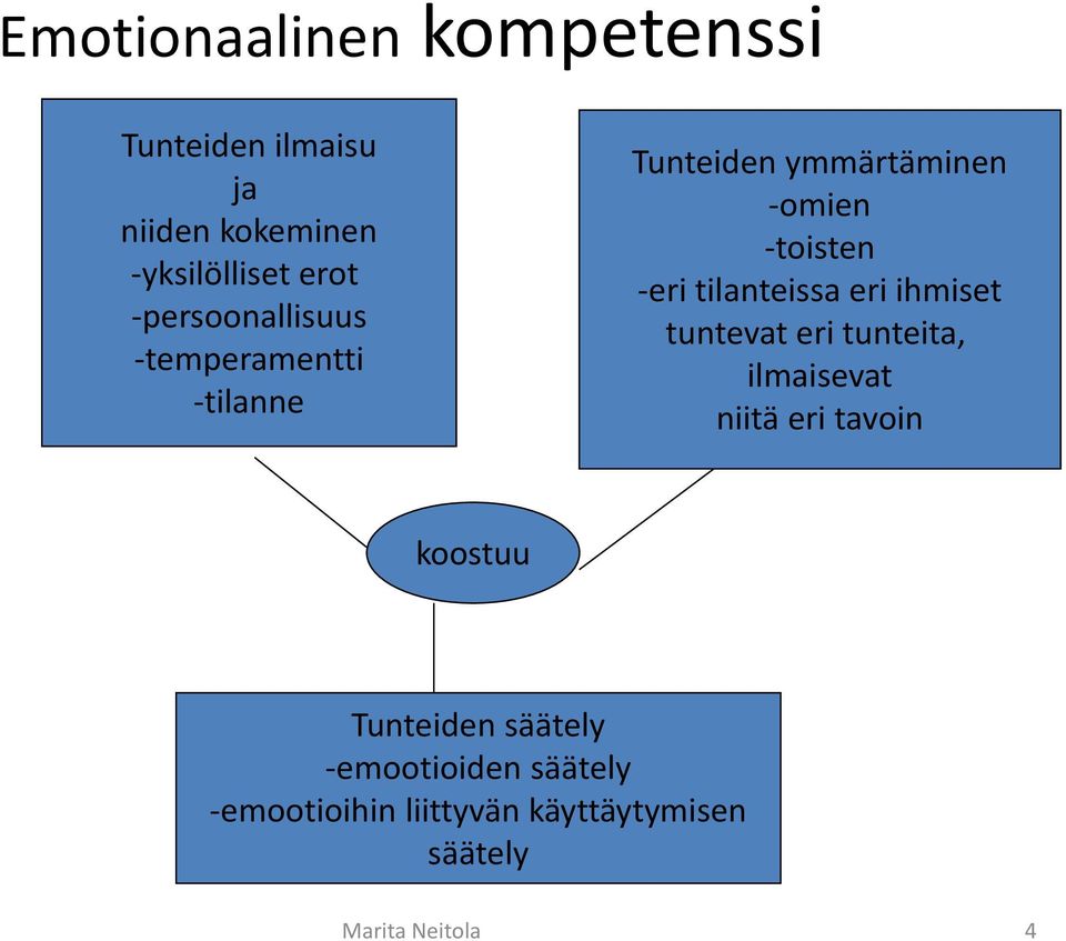 tilanteissa eri ihmiset tuntevat eri tunteita, ilmaisevat niitä eri tavoin koostuu