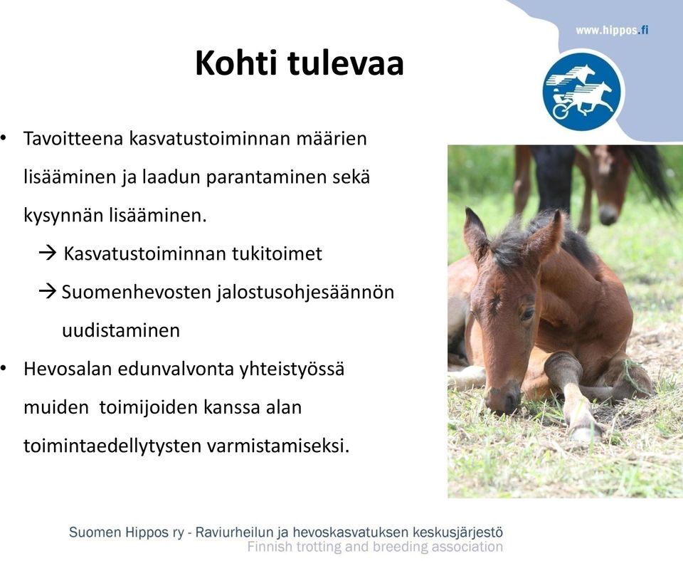 Kasvatustoiminnan tukitoimet Suomenhevosten jalostusohjesäännön