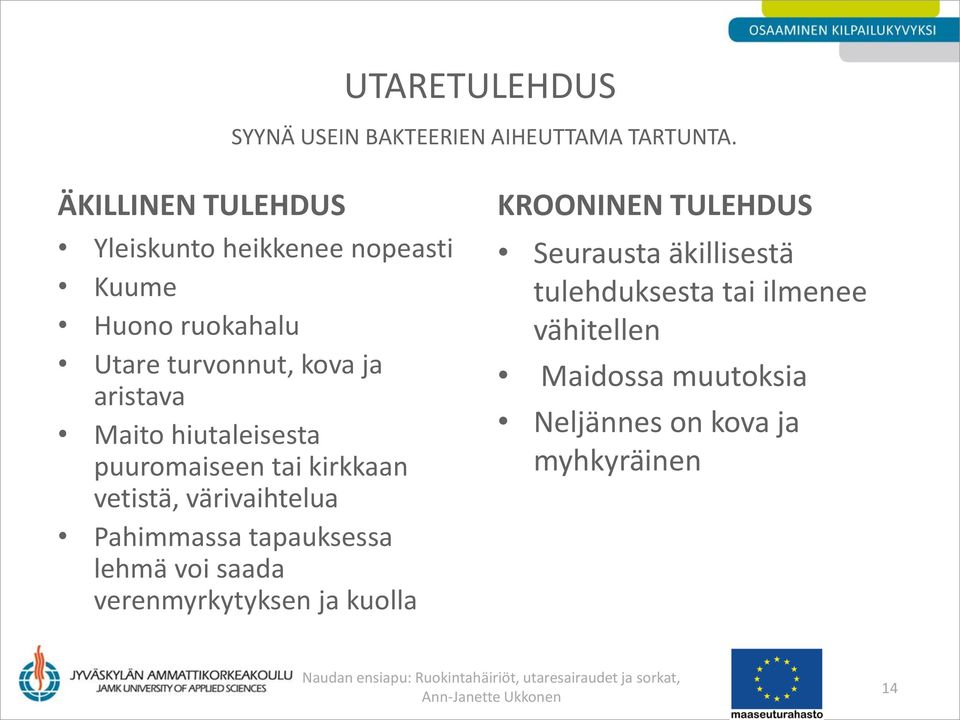 Maito hiutaleisesta puuromaiseen tai kirkkaan vetistä, värivaihtelua Pahimmassa tapauksessa lehmä voi saada