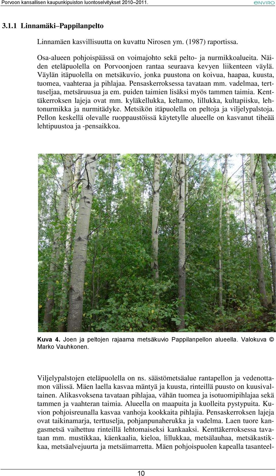 Pensaskerroksessa tavataan mm. vadelmaa, terttuseljaa, metsäruusua ja em. puiden taimien lisäksi myös tammen taimia. Kenttäkerroksen lajeja ovat mm.