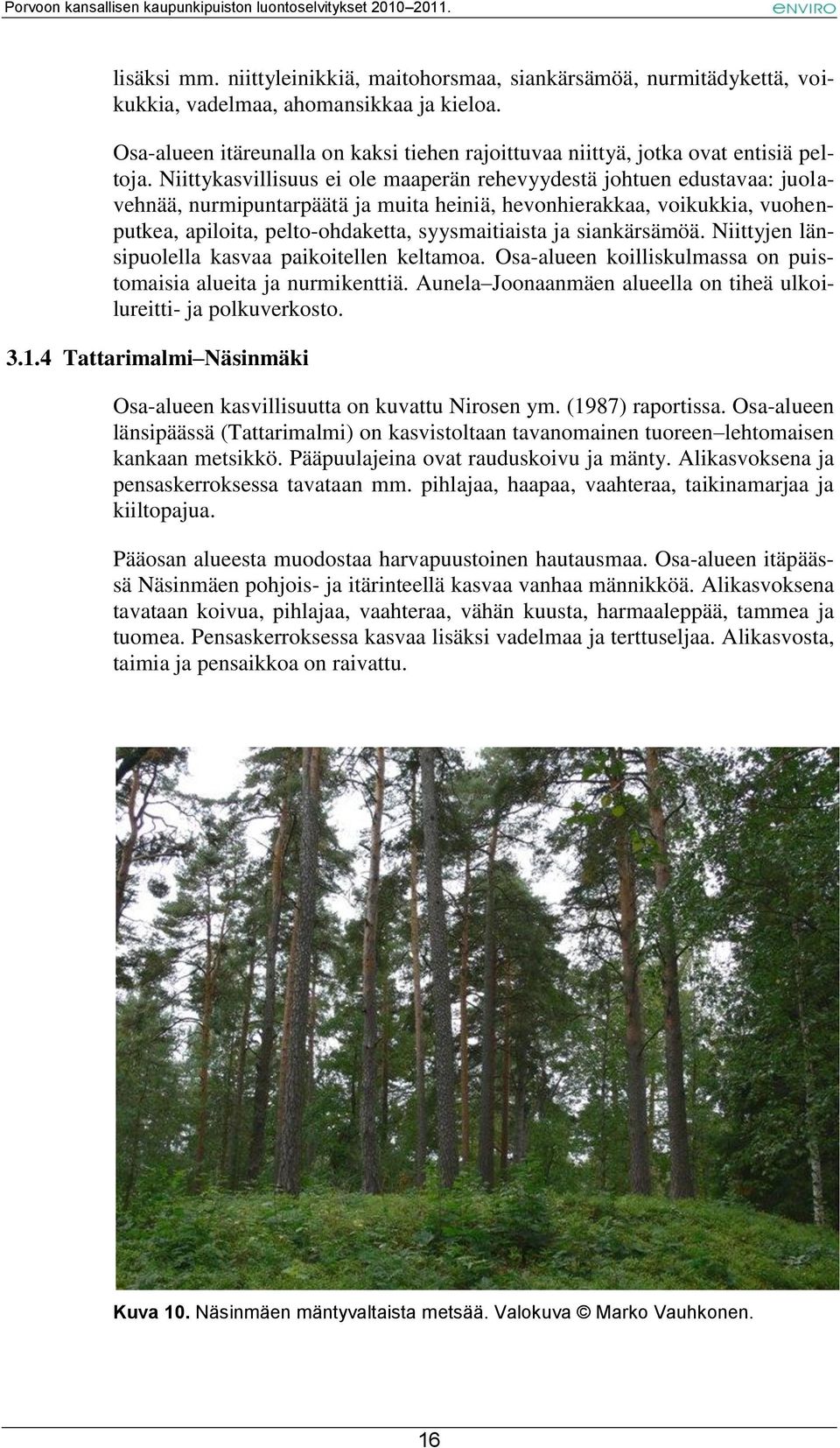 Niittykasvillisuus ei ole maaperän rehevyydestä johtuen edustavaa: juolavehnää, nurmipuntarpäätä ja muita heiniä, hevonhierakkaa, voikukkia, vuohenputkea, apiloita, pelto-ohdaketta, syysmaitiaista ja