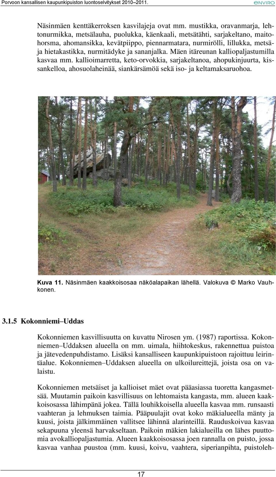 nurmitädyke ja sananjalka. Mäen itäreunan kalliopaljastumilla kasvaa mm.