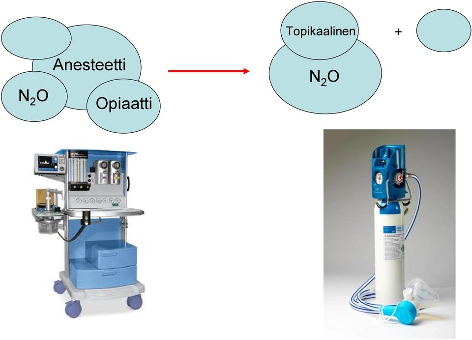 Opiaatti