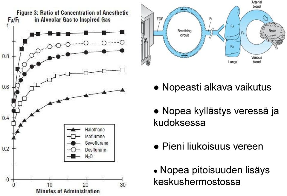 Pieni liukoisuus vereen Nopea