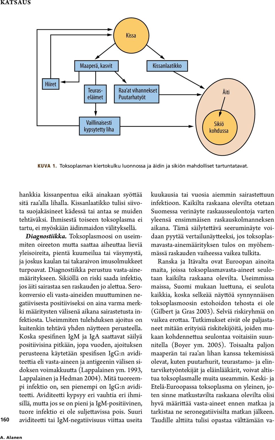 Kissanlaatikko tulisi siivota suojakäsineet kädessä tai antaa se muiden tehtäväksi. Ihmisestä toiseen toksoplasma ei tartu, ei myöskään äidinmaidon välityksellä. Diagnostiikka.