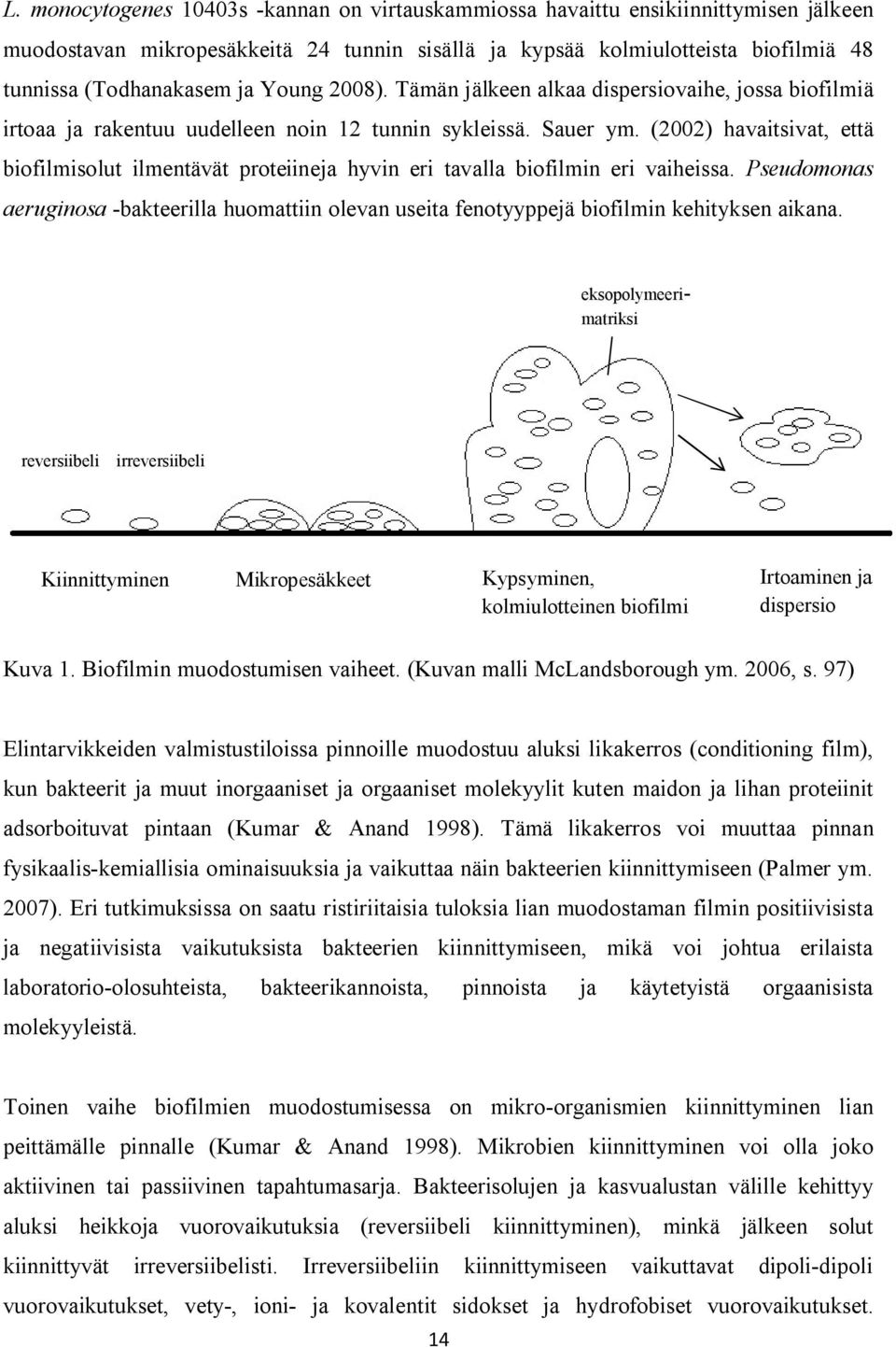 (2002) havaitsivat, että biofilmisolut ilmentävät proteiineja hyvin eri tavalla biofilmin eri vaiheissa.