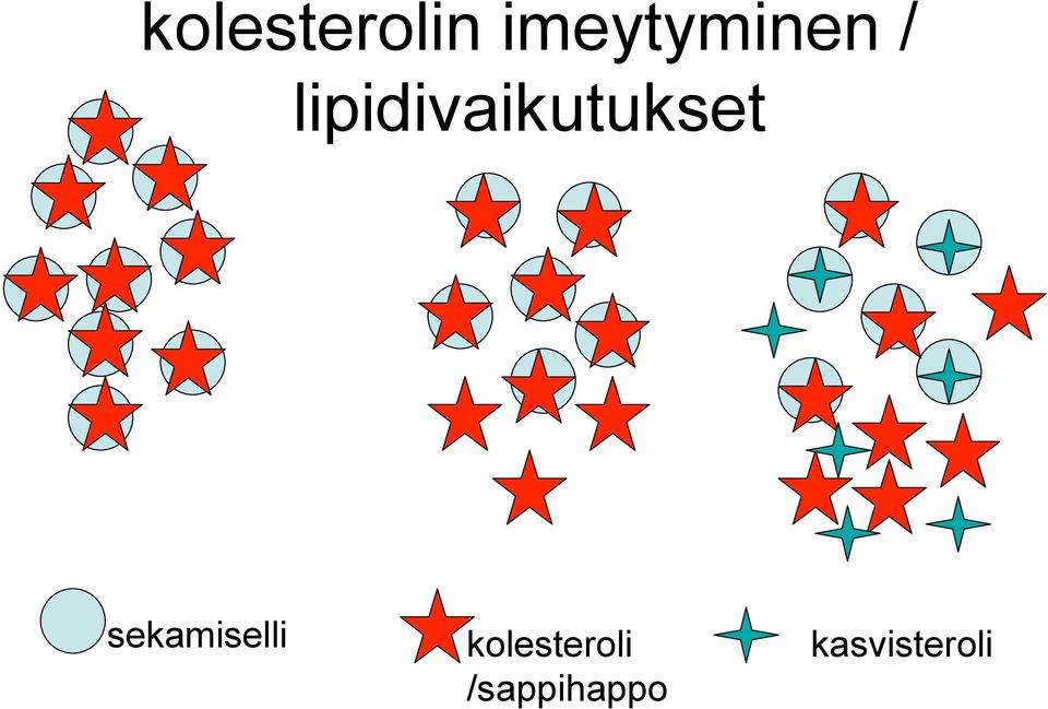 lipidivaikutukset