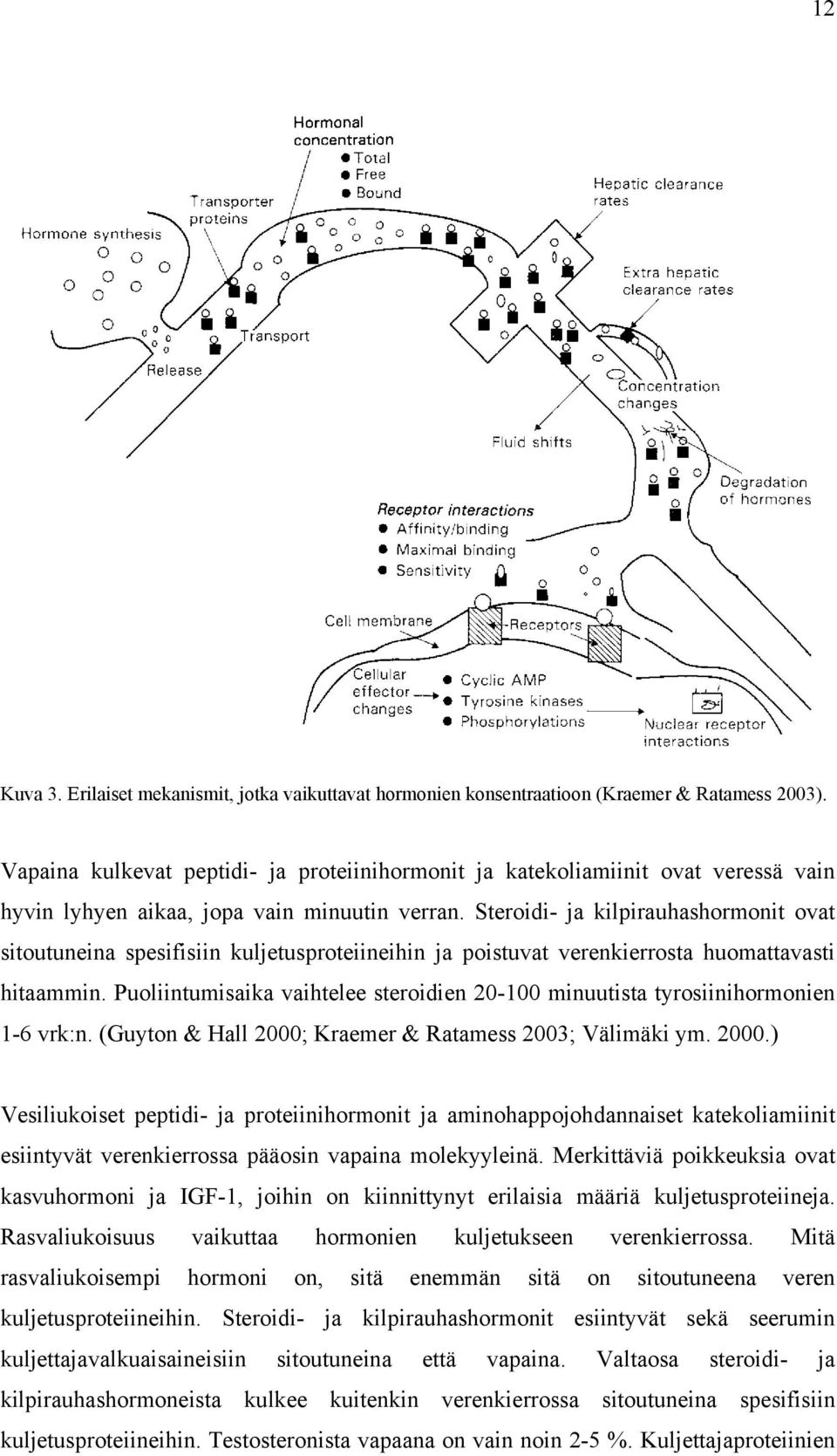 Steroidi- ja kilpirauhashormonit ovat sitoutuneina spesifisiin kuljetusproteiineihin ja poistuvat verenkierrosta huomattavasti hitaammin.