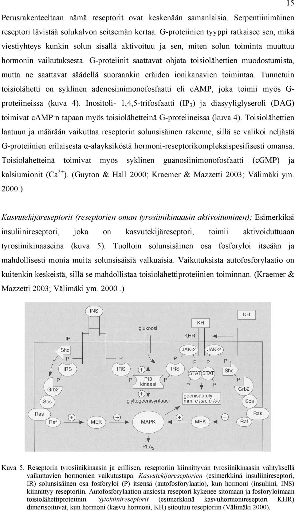 G-proteiinit saattavat ohjata toisiolähettien muodostumista, mutta ne saattavat säädellä suoraankin eräiden ionikanavien toimintaa.