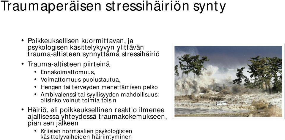 menettämisen pelko Ambivalenssi tai syyllisyyden mahdollisuus: olisinko voinut toimia toisin Häiriö, eli poikkeuksellinen