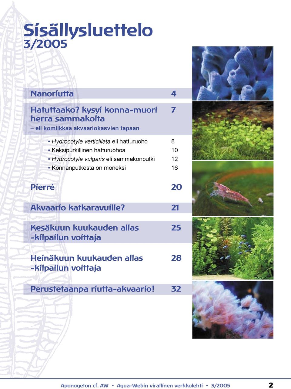 hatturuoho 8 Keksipurkillinen hatturuohoa 10 Hydrocotyle vulgaris eli sammakonputki 12 Konnanputkesta on