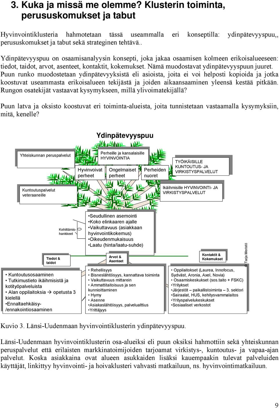 . Ydinpätevyyspuu on osaamisanalyysin konsepti, joka jakaa osaamisen kolmeen erikoisalueeseen: tiedot, taidot, arvot, asenteet, kontaktit, kokemukset. Nämä muodostavat ydinpätevyyspuun juuret.