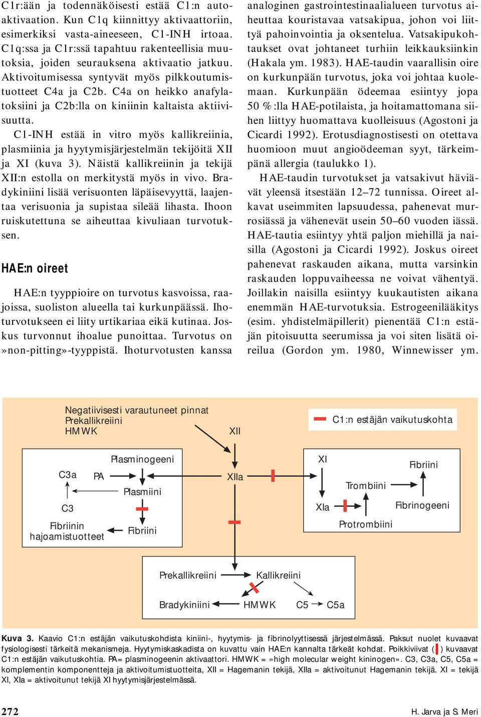 C4a on heikko anafylatoksiini ja C2b:lla on kiniinin kaltaista aktiivisuutta. C1-INH estää in vitro myös kallikreiinia, plasmiinia ja hyytymisjärjestelmän tekijöitä XII ja XI (kuva 3).