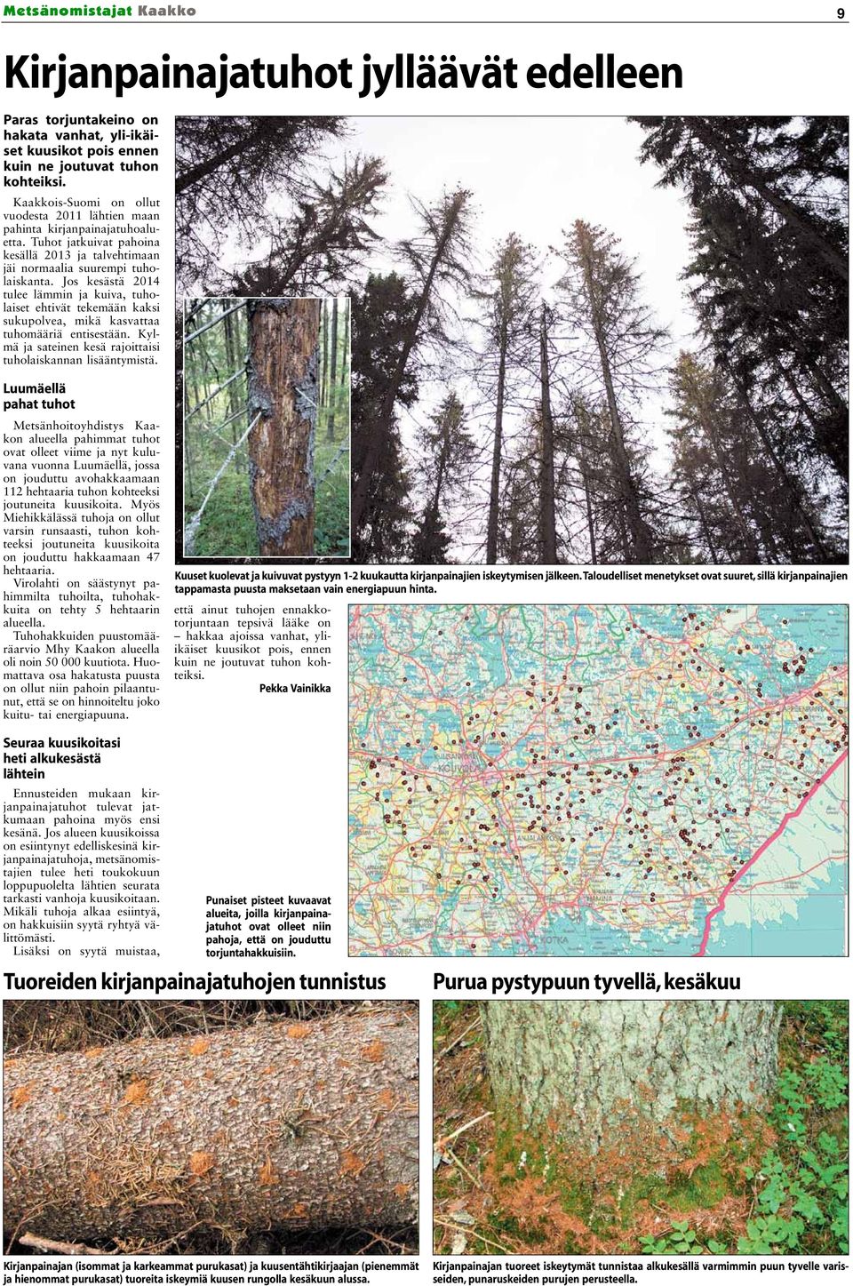 Jos kesästä 2014 tulee lämmin ja kuiva, tuholaiset ehtivät tekemään kaksi sukupolvea, mikä kasvattaa tuhomääriä entisestään. Kylmä ja sateinen kesä rajoittaisi tuholaiskannan lisääntymistä.